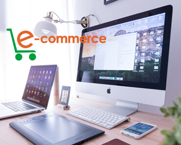 developing an ecommerce website